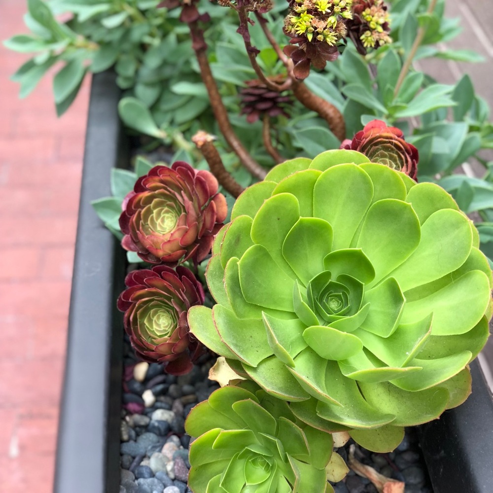 Meet your Posher, Karen claire